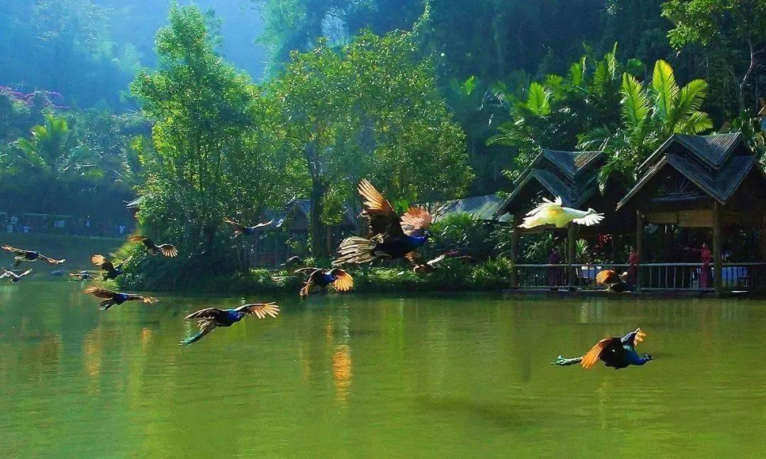 幻想纹章3.3
