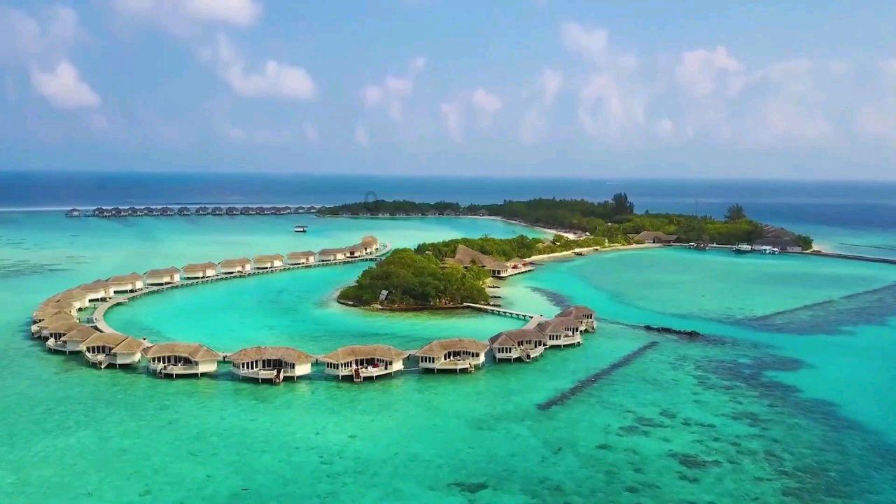僵尸躲避战