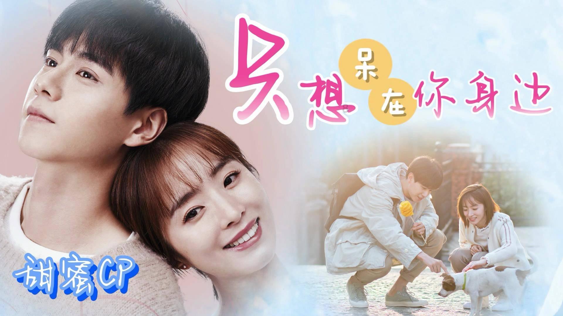 政策暖风频吹  A股能否继续反弹？