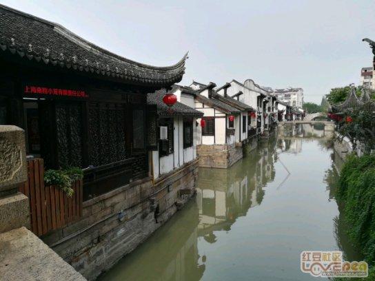 植物大战僵尸4