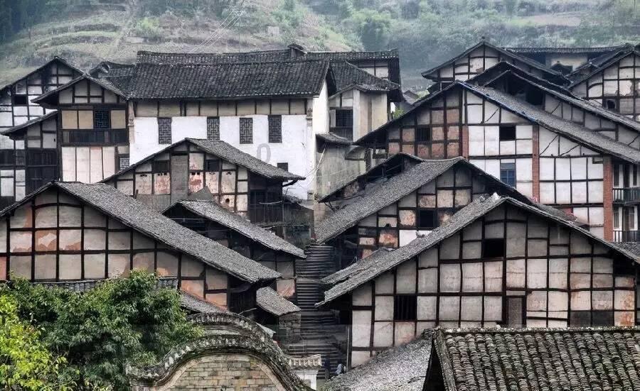 动物帮帮忙保卫家园