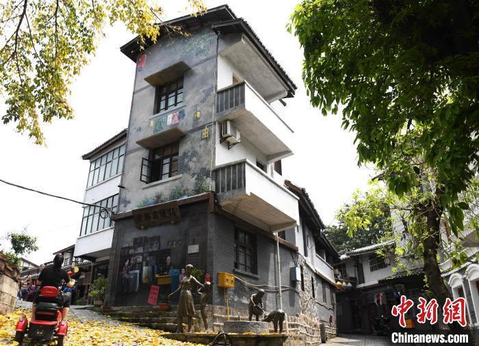 天鹅宝宝被赶到冰面拍照,脚蹼严重冻伤…快住手!